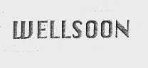 WELLSOON