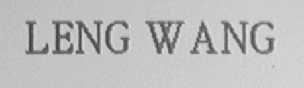 LENG WANG