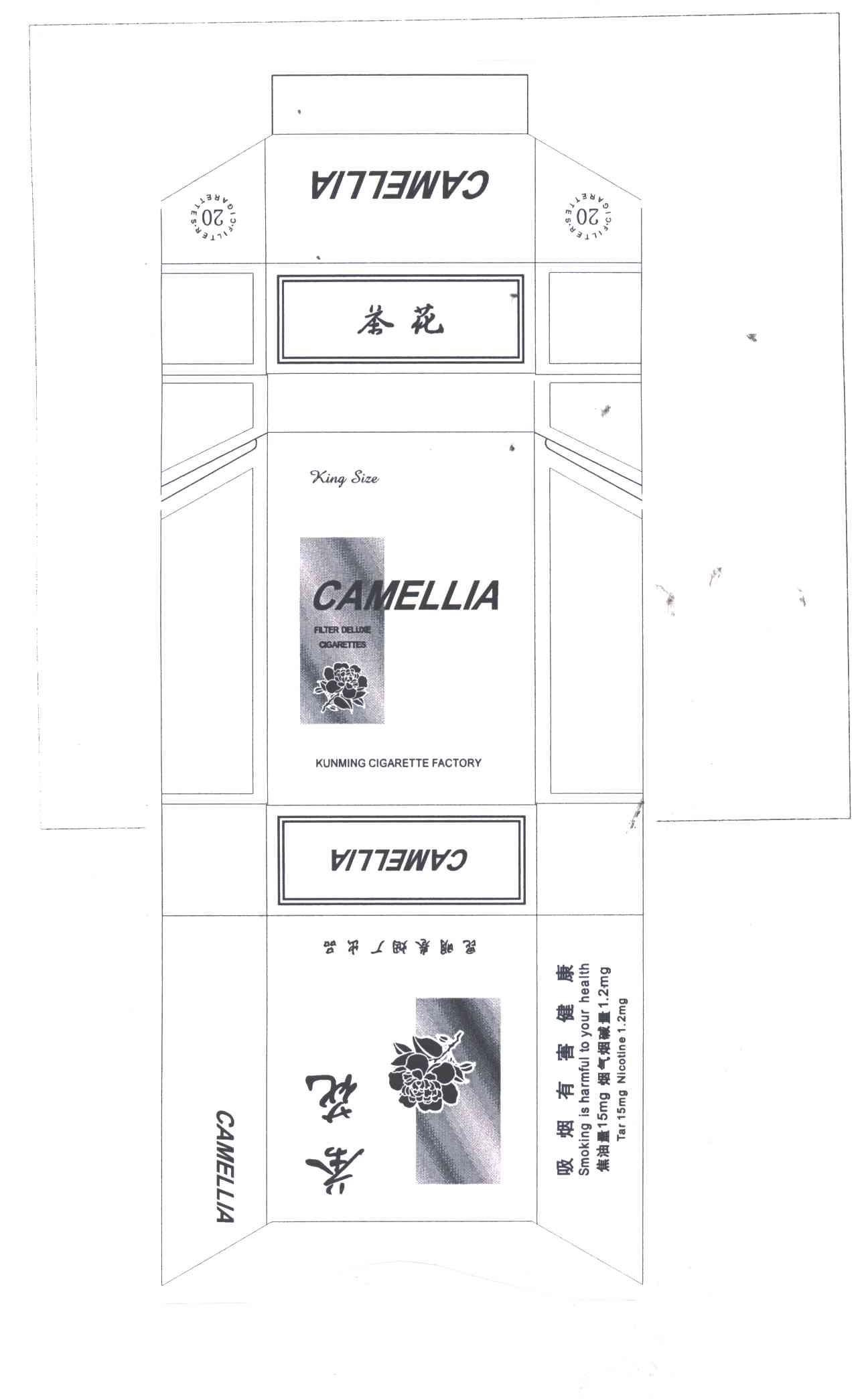 茶花;CAMELLIA