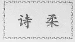 诗柔