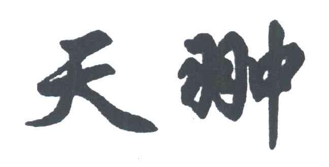 天翀