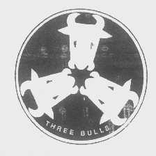 THREE BULLS