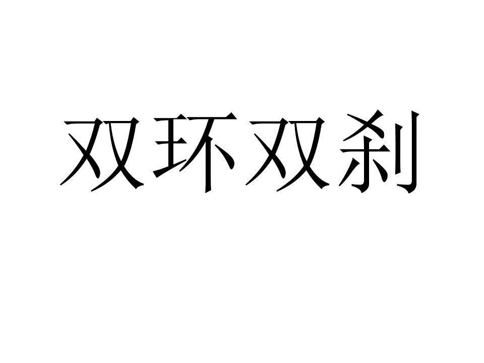 双环双刹