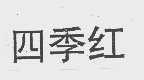 四季红