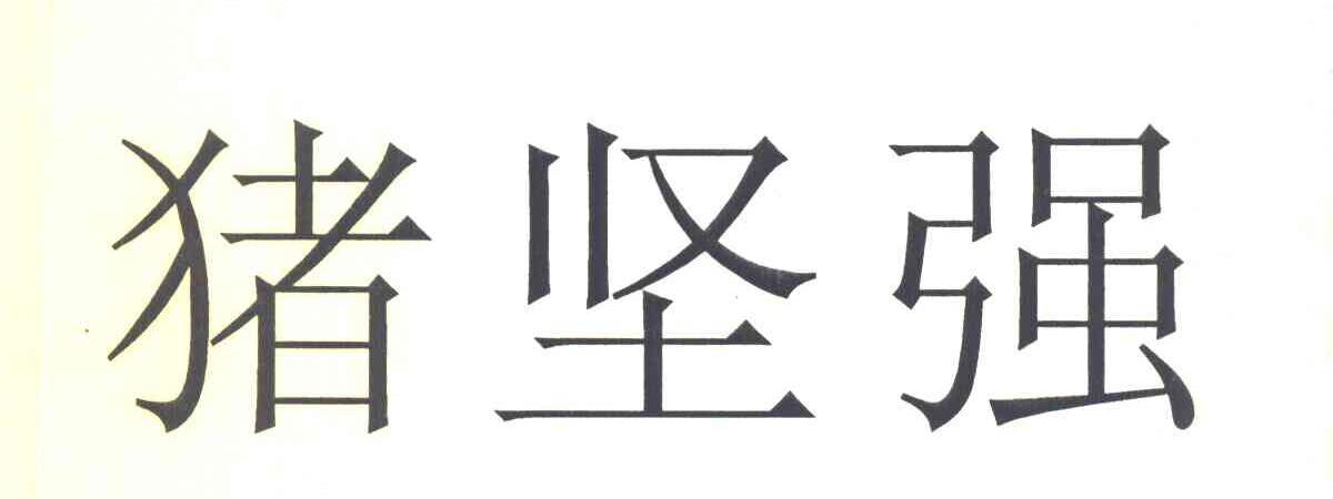 猪坚强