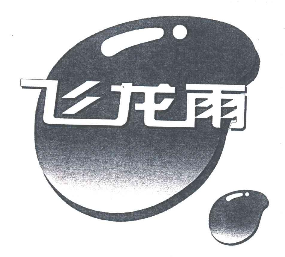飞龙雨
