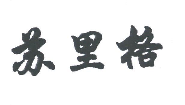 苏里格