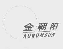 金朝阳   AURUMSUN