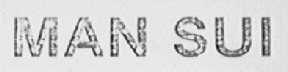 MAN SUI