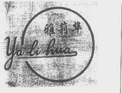 雅莉华