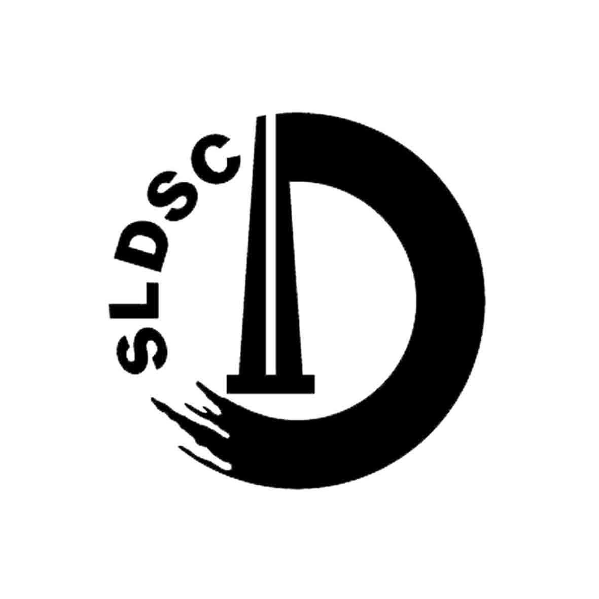 D SLDSC