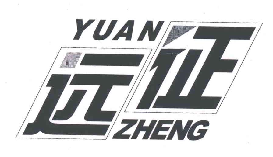 远征