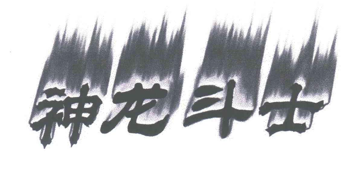 神龙斗士