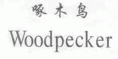啄木鸟;WOODPECKER