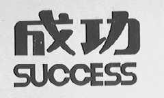 成功    SUCCESS