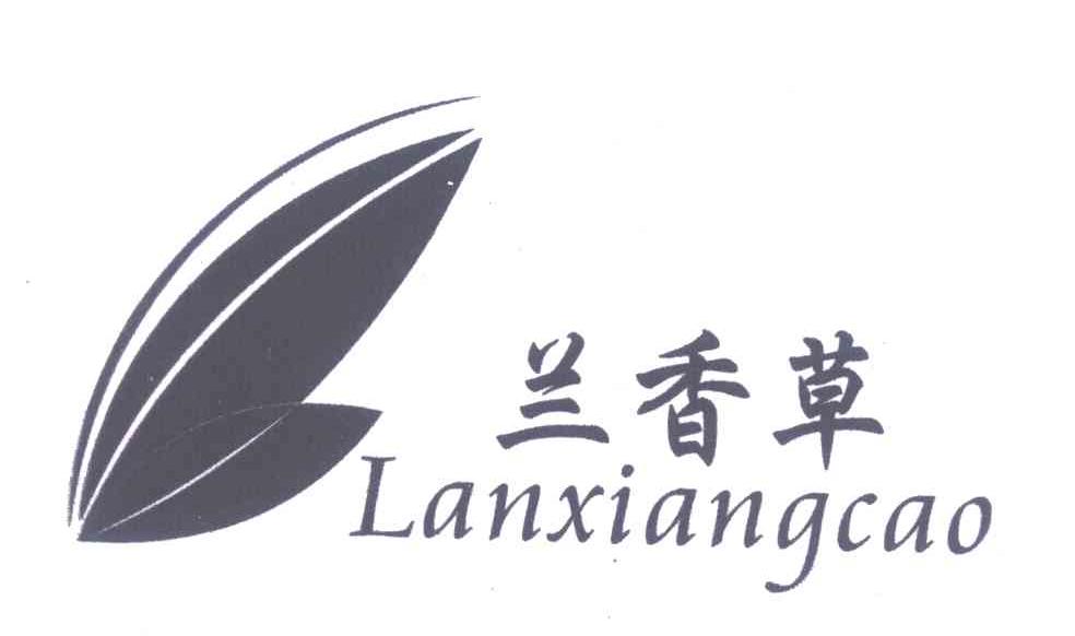 兰香草