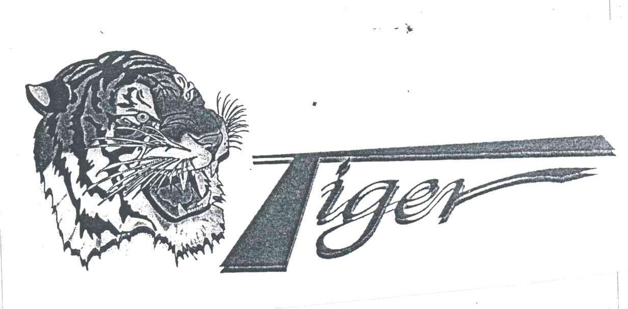 TIGER及图形
