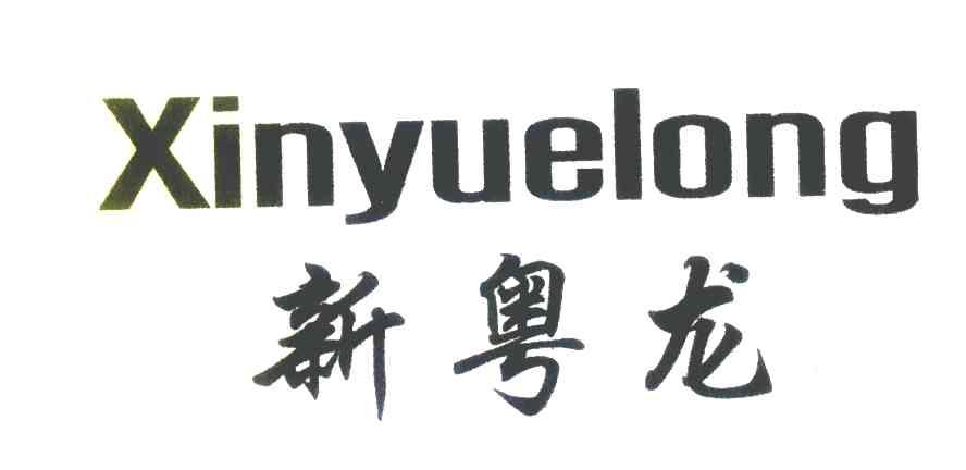 新粤龙