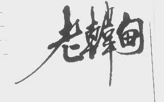 老韩甸