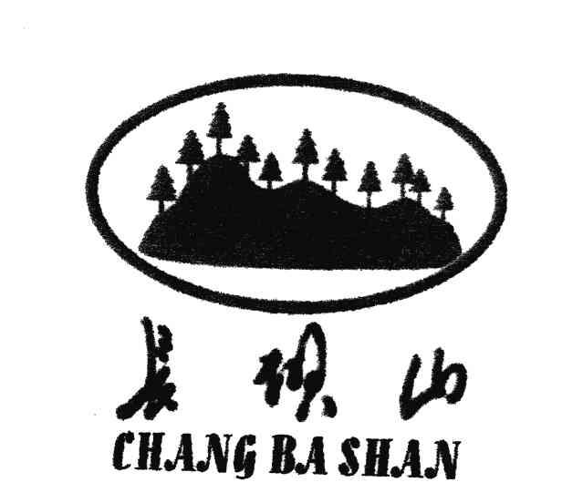 长坝山
