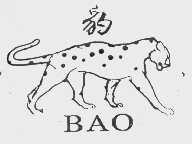 豹