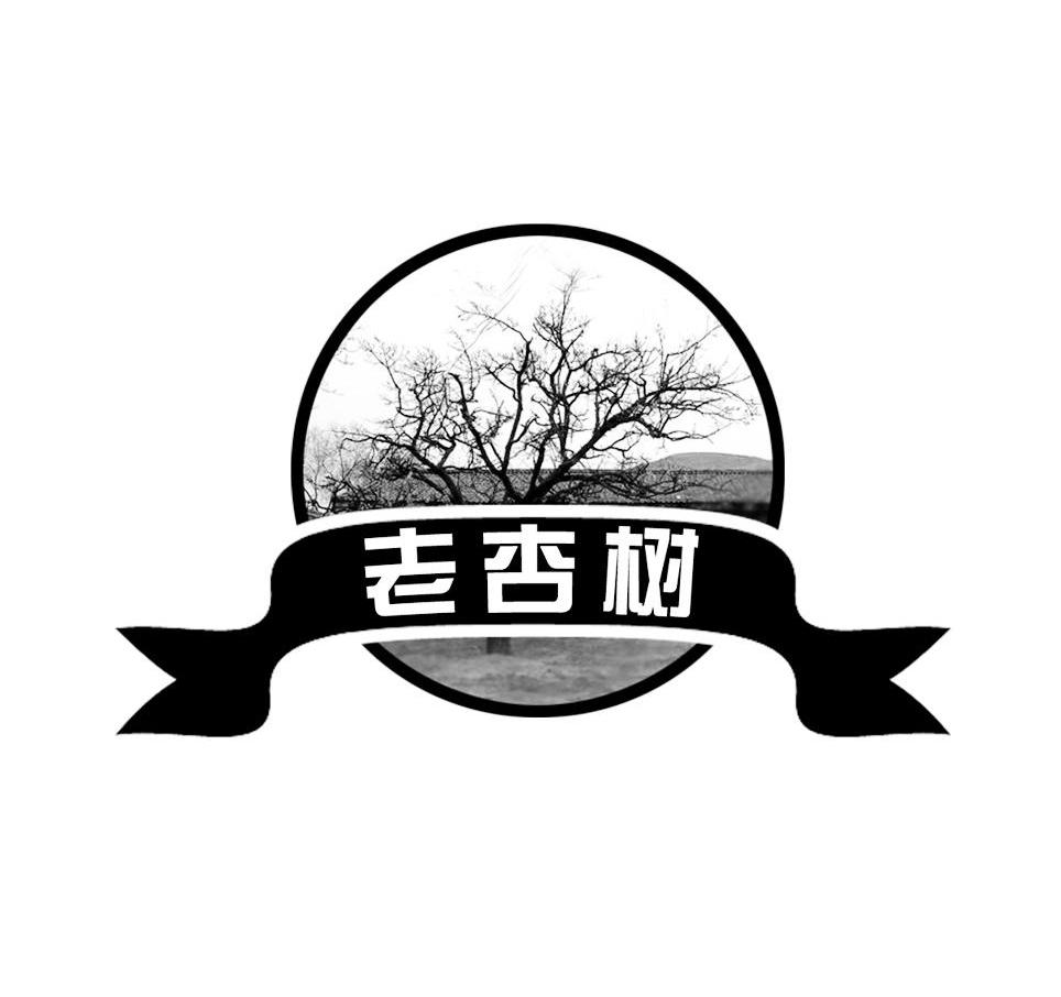 老杏树