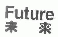 FUTURE;未来