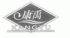 康禹