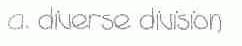 A. DIVERSE DIVISION