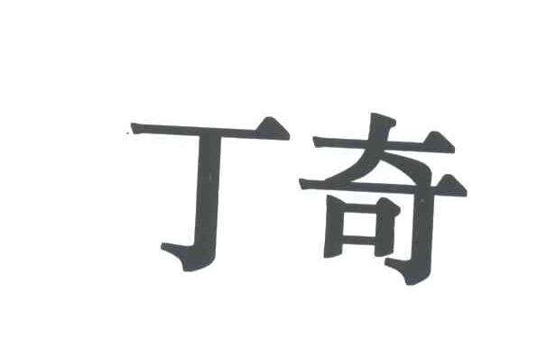 丁奇