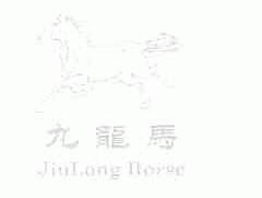 九龙马;JIU LONG HORSE