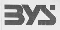 3YS