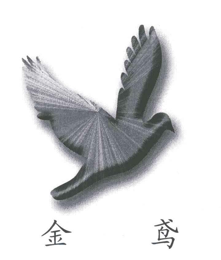 金鸢