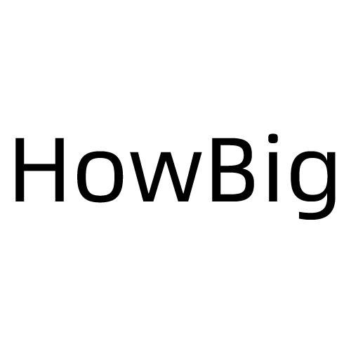 HOW BIG