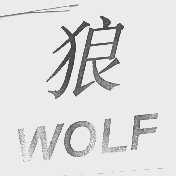 狼  WOLF