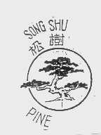 松树   PINE