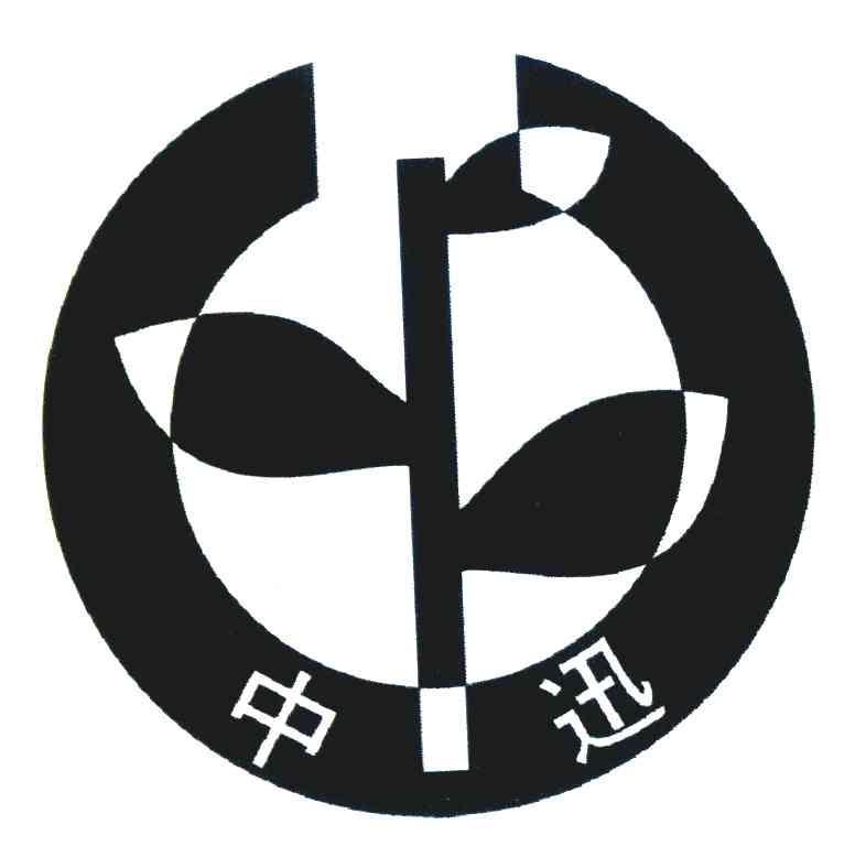 中迅