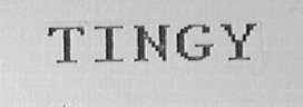 TINGY