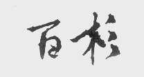 百杉