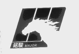铭骏   MAJOR
