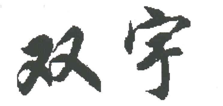 双宇