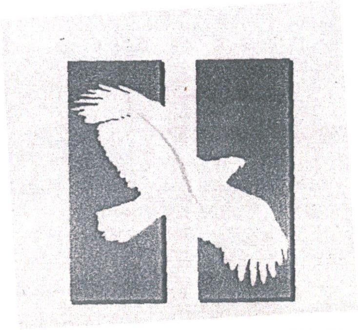图形