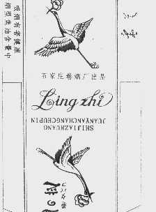 灵芝