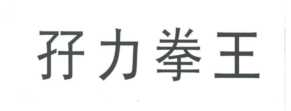 孖力拳王