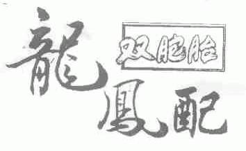龙凤配双胞胎