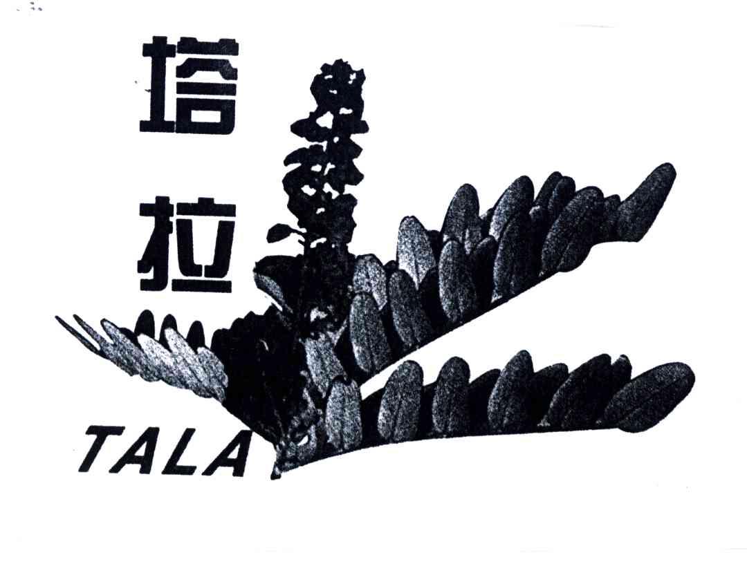 塔拉