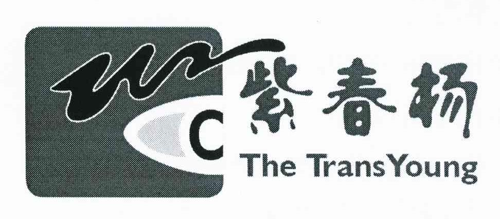 紫春杨 THE TRANS YOUNG