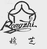 榕芝