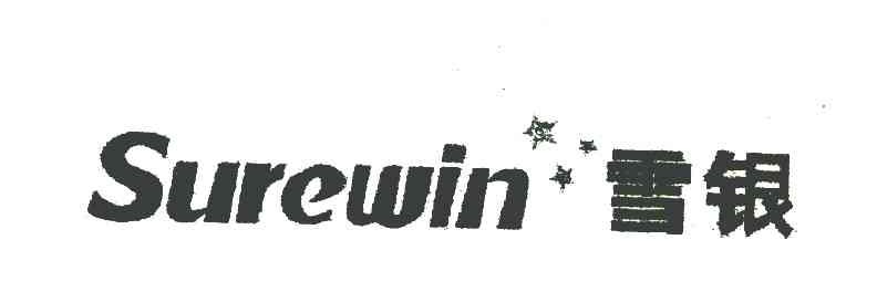 雪银 SUREWIN