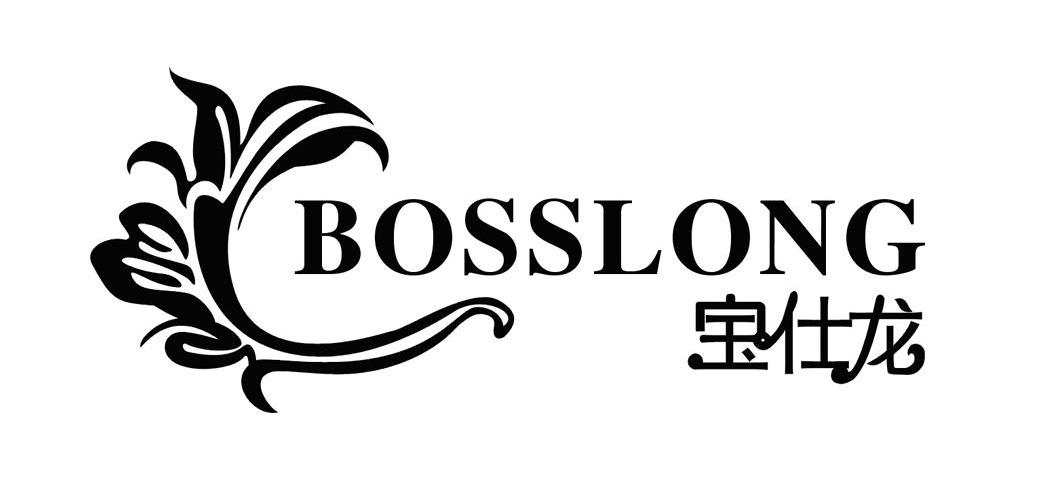 宝仕龙 BOSSLONG